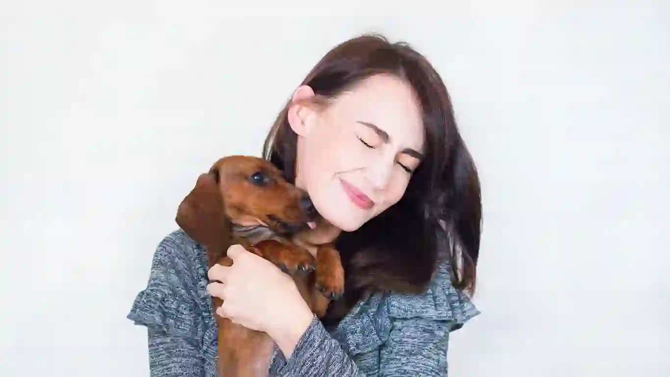 The Mood-Boosting Benefits of Pets